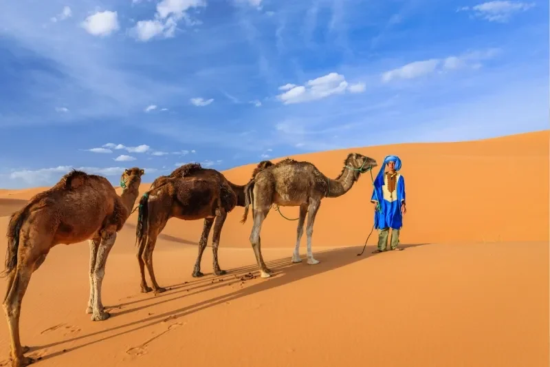 Tour Eclissi Solare Marocco 2027